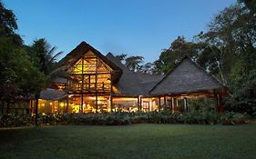 Amazonica Отзывы
